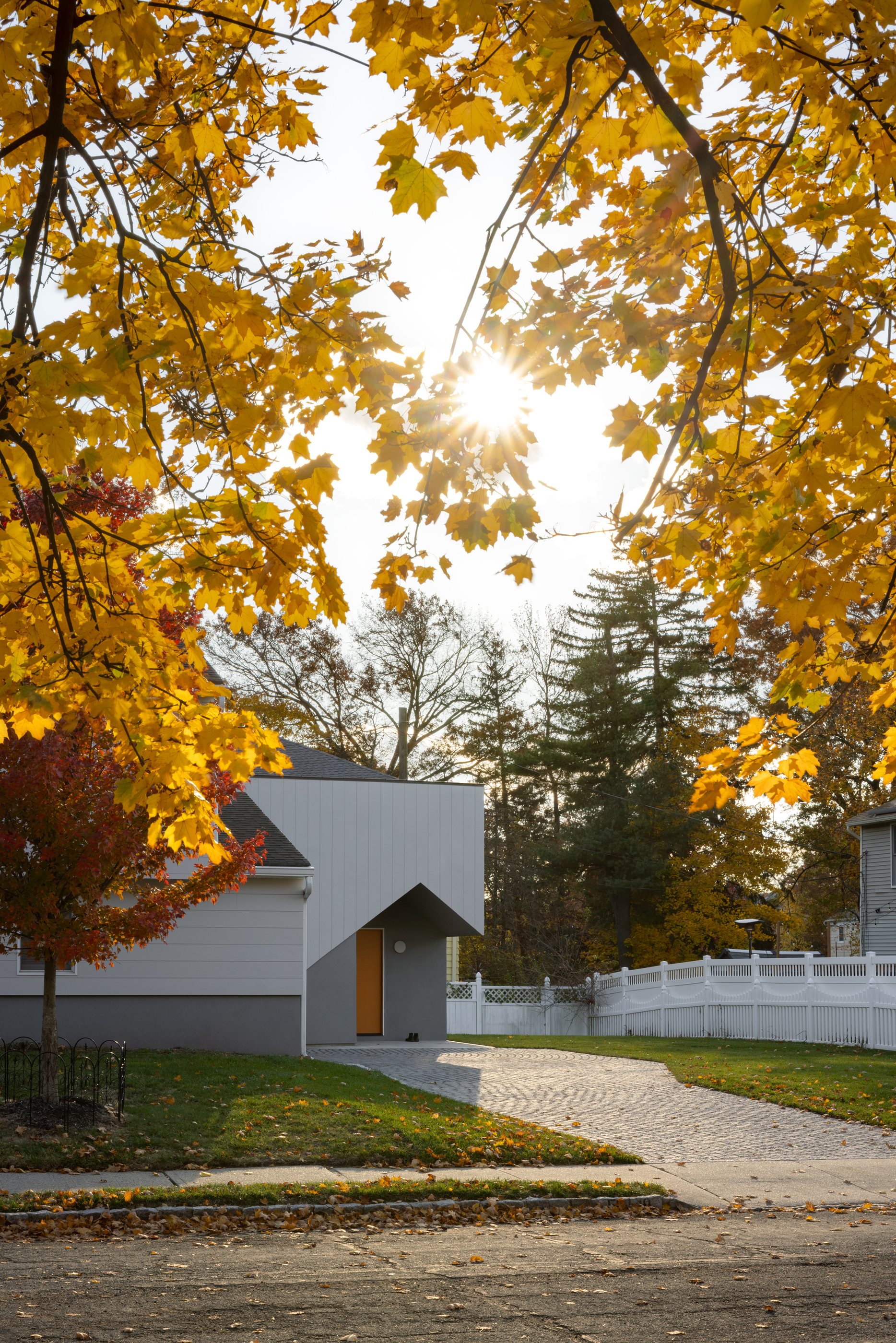 The Swoop ADU seen from the cul-de-sac through golden autumn maple leaves, with the sun setting behind the trees
